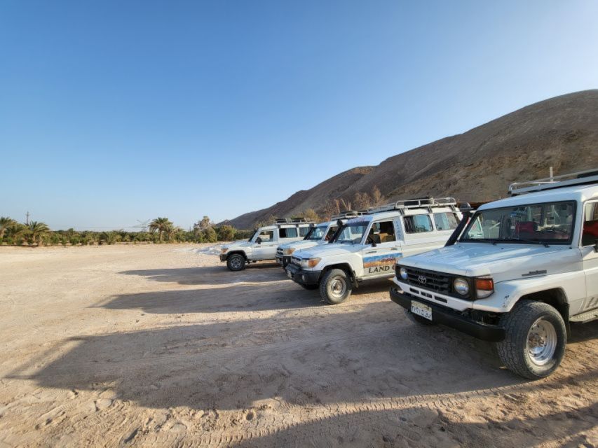 El Gouna: Desert Star-Watching Adventure by Jeep With Dinner - Review Examples From Guests