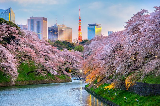 [Electric Bicycle Tour]: 6-Hour Travel Course by Electric Bicycle Asakusa, Ueno Park, Edo-Tokyo Muse - Reviews and Ratings