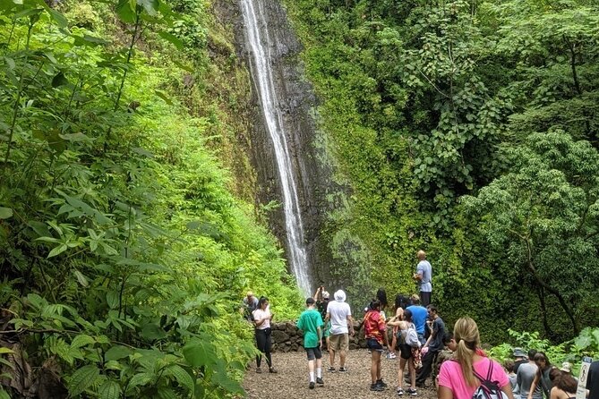 Electric Bike Ride & Manoa Falls Hike Tour - Directions and Last Words