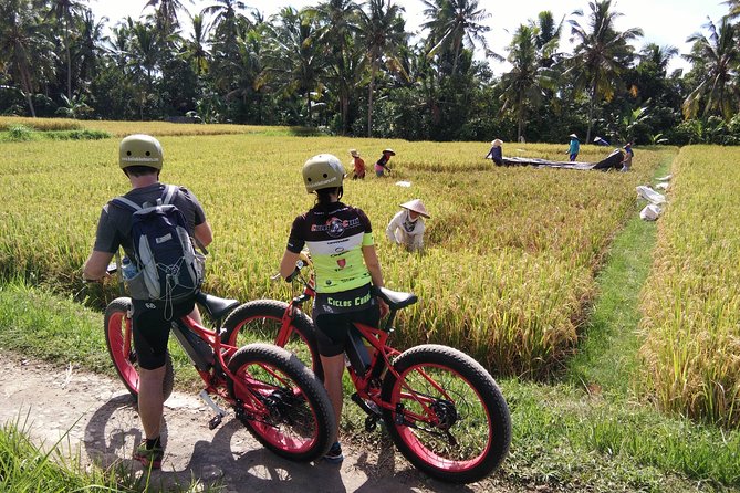 Electric Bike Tour in Ubud - Tour Route Highlights