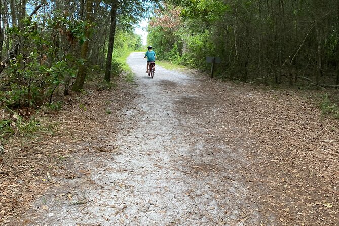Electric Bike Tours in Amelia Island - Cancellation Policy