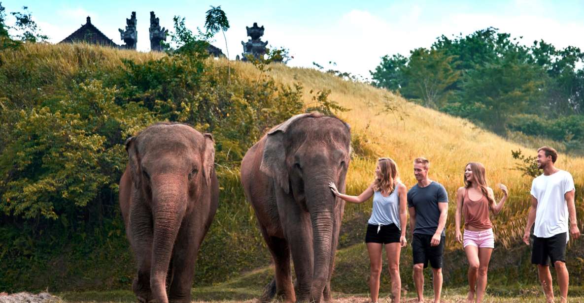 Elephant Care Experience With Mud Bath at Bali Zoo - Common questions