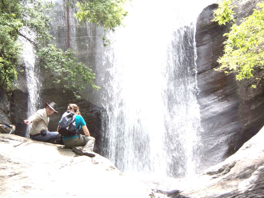 Ella-Trekking Through Forest Tea Plantation & Waterfalls - Day 2 Itinerary