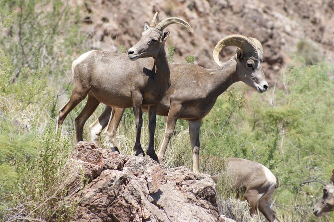 Emerald Cave Express Kayak Tour From Las Vegas - Directions