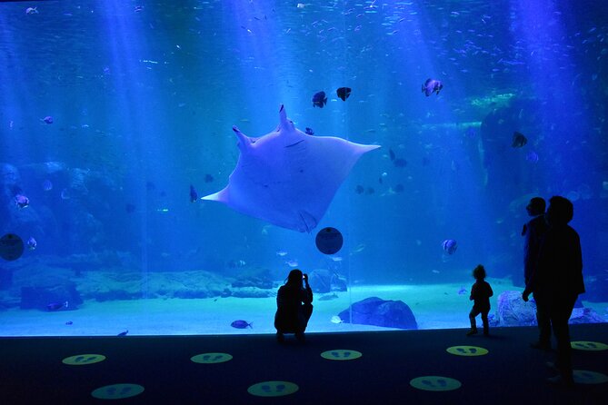 Entrance Ticket Nausicaa, the Biggest Aquarium in Europe - Customer Support and Assistance