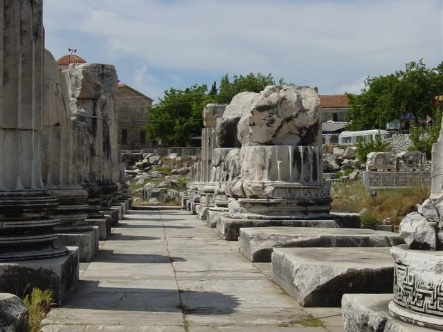 Ephesus, Priene, Miletos and Didyma Tour - Customer Reviews