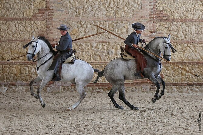 Equestrian Show Royal Stables of Córdoba - Tips for a Memorable Visit