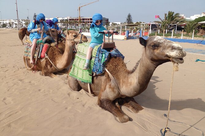 Essaouira: an Unforgettable 2 Hour Ride on a Camel - Last Words