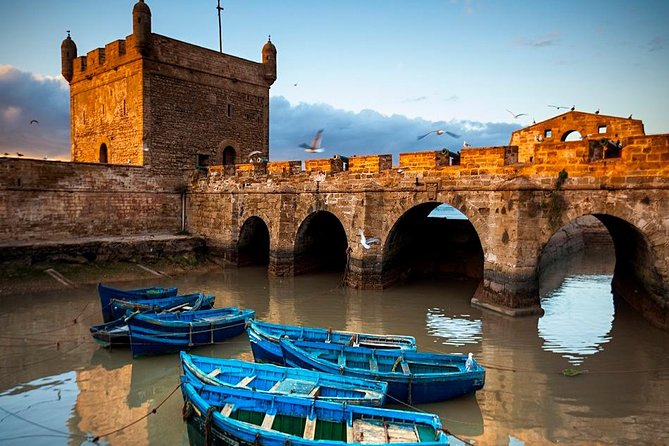 Essaouira Full-Day Excursion From Marrakech - Traveler Reviews and Ratings