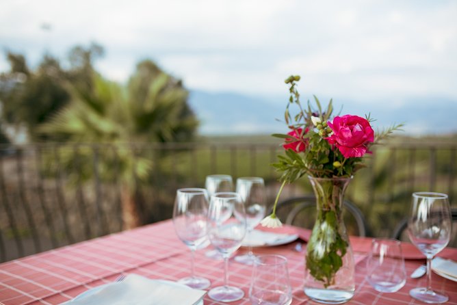 Etna Countryside Food and Wine Lovers Tour (Small Group) - Pricing Details