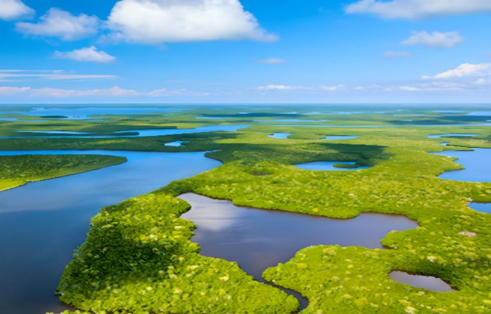 Everglades Immersion Tour: The Ultimate Everglades Adventure - Directions