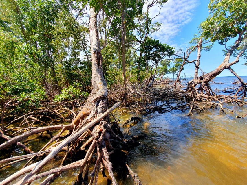 Everglades National Park: Motorboat Eco Tour - Directions