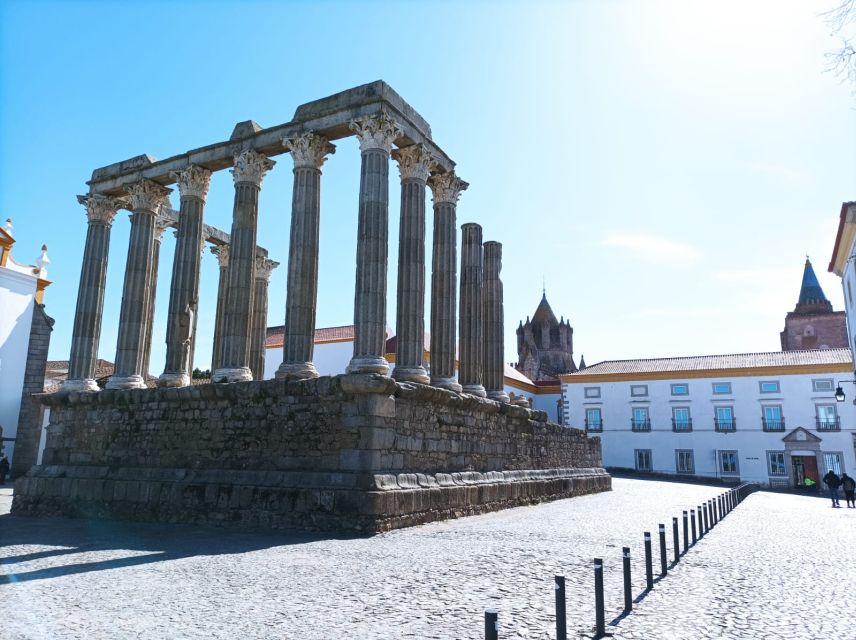 Evora and Monsaraz: Wine and Gastronomy Tour - Important Information