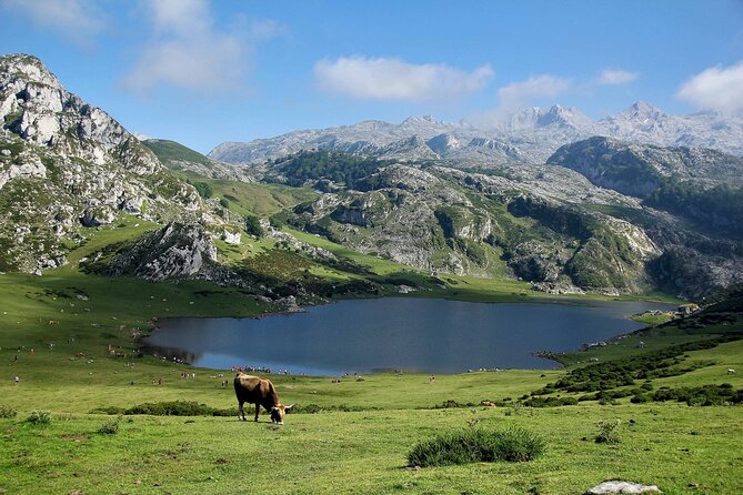 Excursion to Lakes of Covadonga and Cangas De Onís From Oviedo - Directions