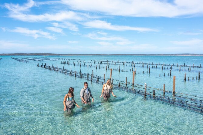 Experience Coffin Bay Oyster Farm and Bay Tour - Tour Contact Information
