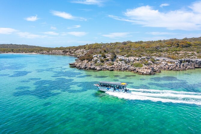Experience Coffin Bay Short and Sweet Oyster Farm Tour - Directions and Logistics