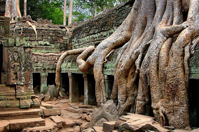 Explore Angkor Wat Temple , Bayon Temple and Jungle Temple Ta-Prohm - Ta-Prohm Temple Features