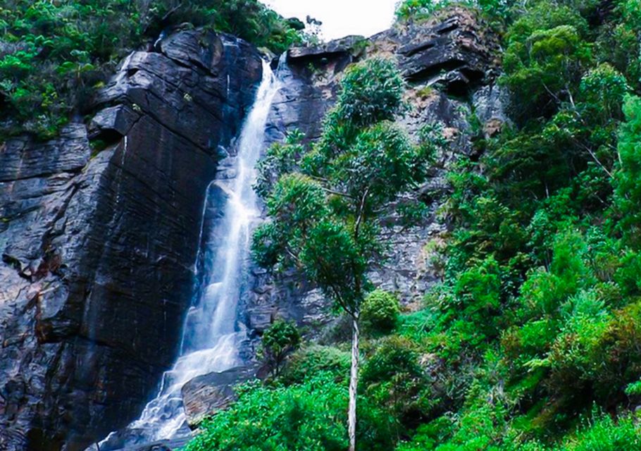 Explore Countryside of Nuwara Eliya by Tuk-Tuk - Falls and Lake Visit