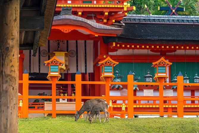 Explore the Best Spots of Arashiyama / Nara in a One Day Private Tour From Kyoto - Fushimi Inari Shrine