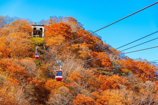 Explore the Culture and History of Nikko With This Private Tour - Booking Assistance and Customer Support