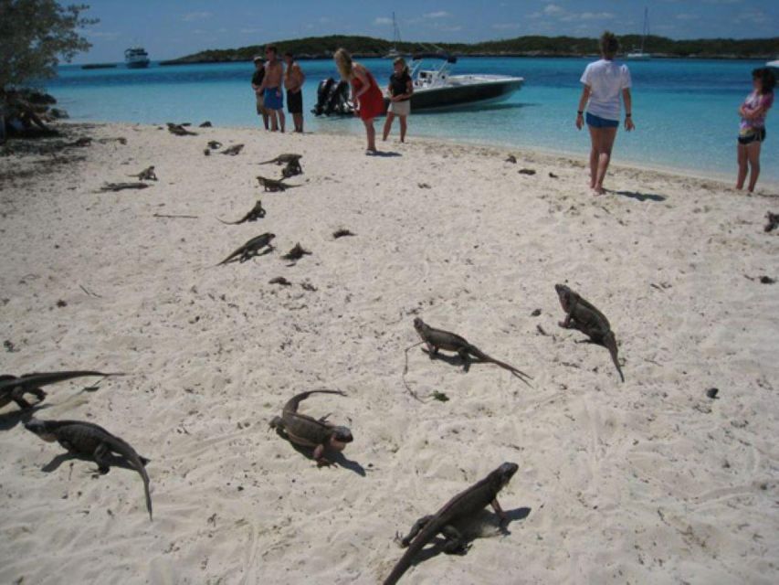 Exuma Cays-Private Adventure Tour - Itinerary Overview