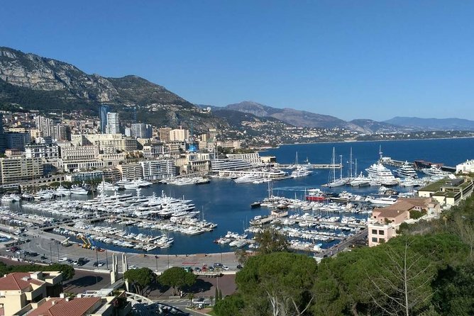 Eze, Monaco & Monte-Carlo Half Day Private Tour - Professional Guide Information