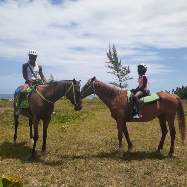 Falmouth/Montego Bay: River Tubing & Beach Ride on Horseback - Similar Excursions