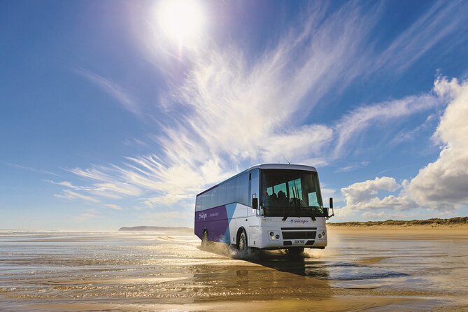 Far North New Zealand Tour Including 90 Mile Beach and Cape Reinga From Paihia - Pricing and Additional Tour Information