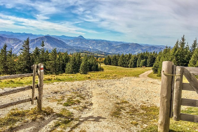 Feels Like Sound of Music - Guided Hike With Panoramic Views