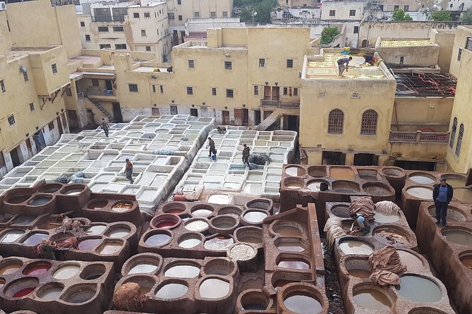 Fez Medina Half Day Walking Tour - Common questions