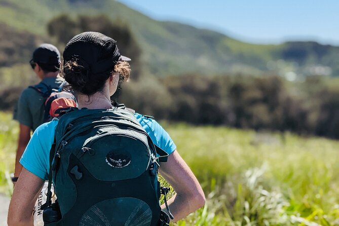 Figure Eight Pools (Sydney Coast Track) Private Guided Hike  - New South Wales - Customer Reviews