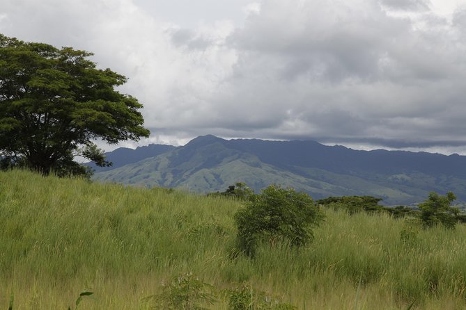 Fiji Local Village, Market, Temple & Garden of Sleeping Giant With Mud Pool Tour - Common questions