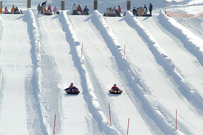 First-time Skiing and Snow Play (Private Tour) - Whats Included