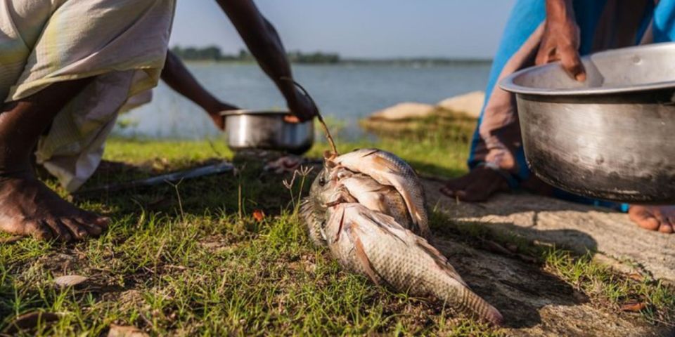 Fish, Cook & Enjoy a Sri Lankan Lunch at a Village House - Cooking Experience