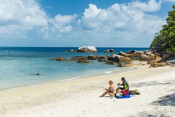 Fitzroy Island Day Trip From Cairns - Snorkeling and Marine Life