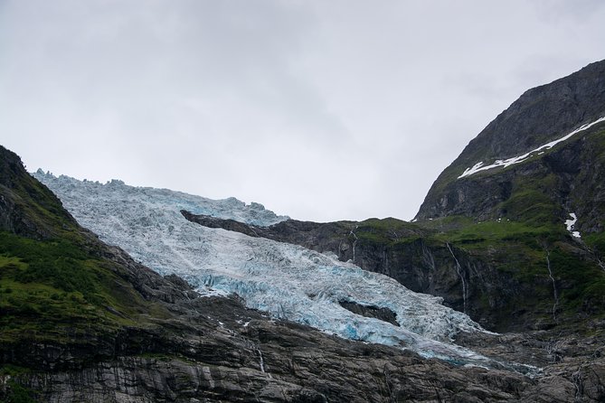 Fjaerlandsfjord and Boyabreen Glacier in A Single Day Tour  - Balestrand - Traveler Reviews
