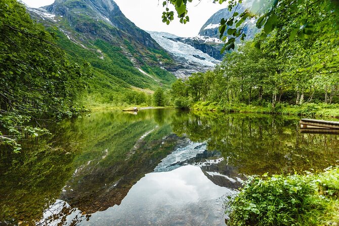 Fjord Cruise to Sognefjord and Bøyabreen Glacier - Sightseeing Delights