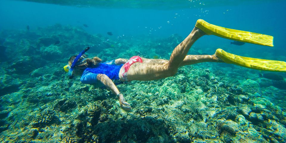 Florida Keys: Full-Day Kayak and Snorkel Reef Adventure - Common questions