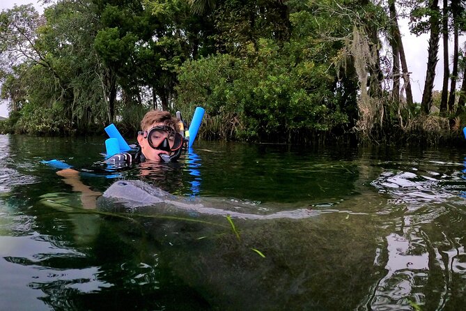 Florida Manatees, Nature Park, and Airboat Tour From Orlando (Mar ) - Common questions