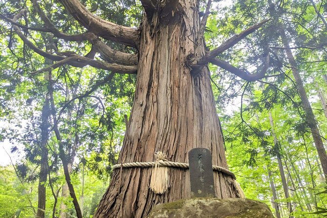 Forest Shrines of Togakushi, Nagano: Private Walking Tour - Cancellation Policy and Support