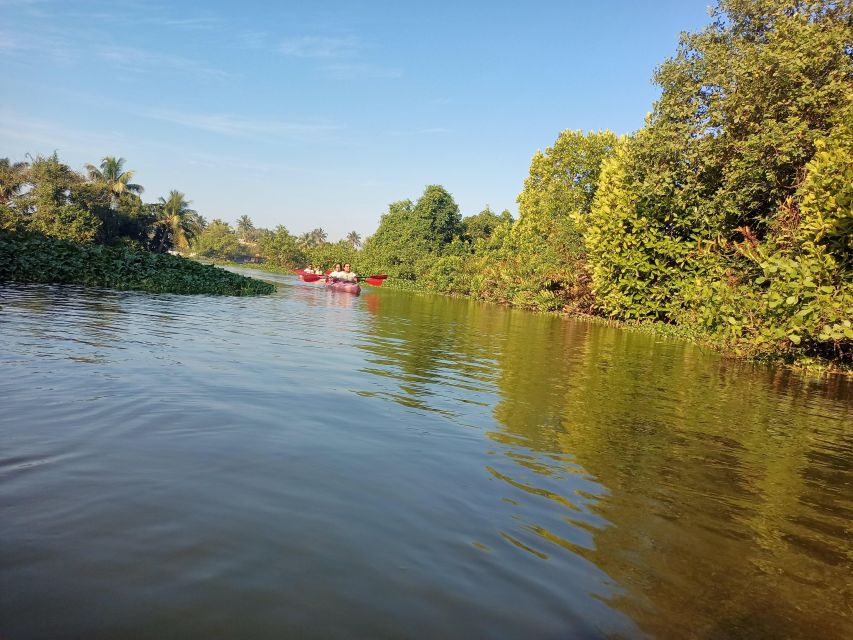 Fort Kochi Sightseeing on Tuk Tuk / Car & Backwater Kayaking - Logistics