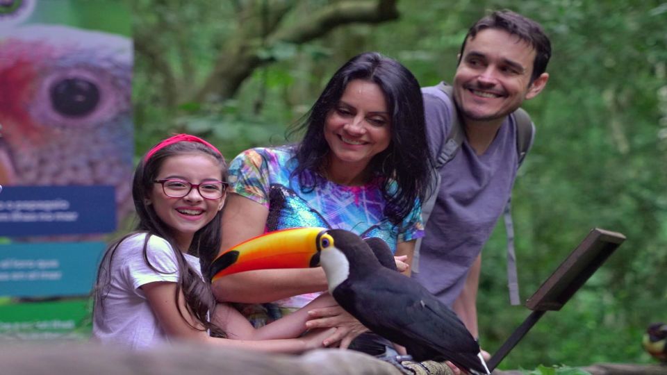 Foz Do Iguaçu: Brazilian Side of the Falls Bird Park - Last Words