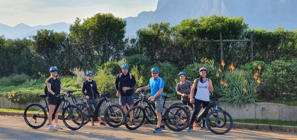 Franschhoek: E-Bike Tour With Wine Tasting and Lunch - Group Size and Guide