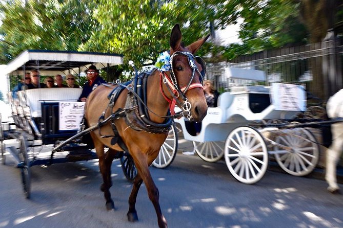 French Quarter and Marigny Neighborhood Carriage Ride - Snack Break