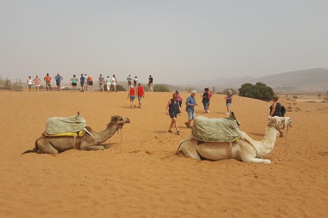 From Agadir or Taghazout: Small Desert Day Trip - Additional Details