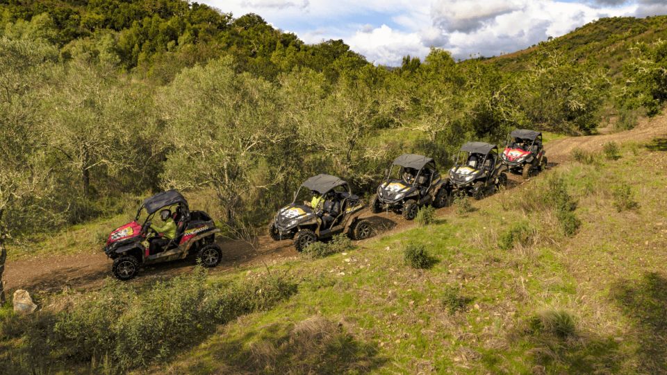 From Albufeira: Half-Day Buggy Adventure Tour - Booking Information