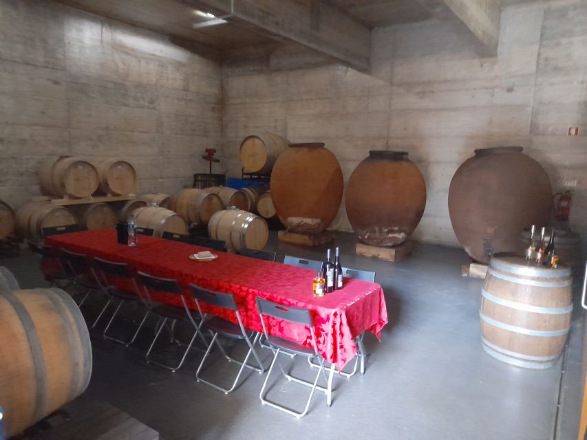 From Albufeira: Private Lagos Tour Whith Wine Tasting - Cancellation Policy and Payment Options