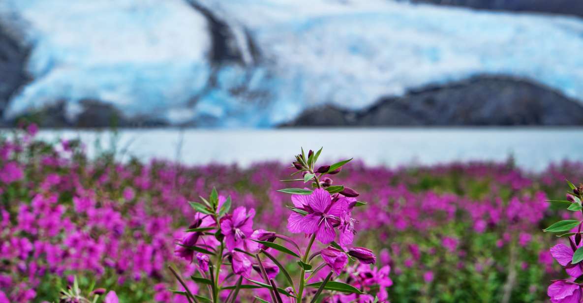 From Anchorage: Valley of Glaciers & Wildlife Center Tour - Common questions