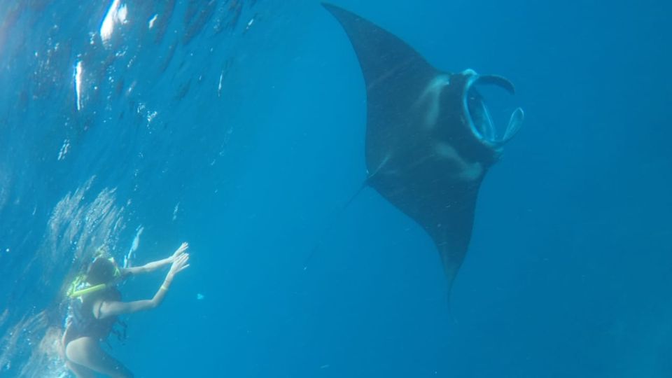 From Bali: Nusa Lembongan Snorkeling Mangrove and Land Tours - Cultural Immersion