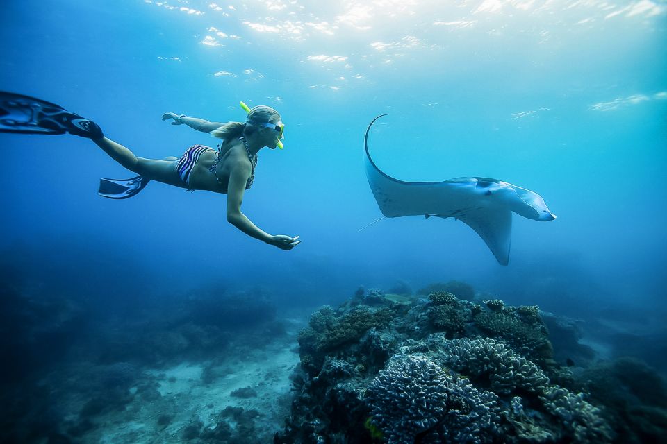 From Bali: Swim With Manta Rays in Nusa Penida - How to Get There